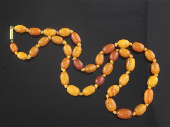 A single strand graduated oval amber bead necklace, 50cm.